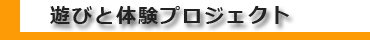 遊びと体験プロジェクト